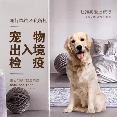 衡水市宠物托运到哥伦比亚猫狗宠物入境规定和