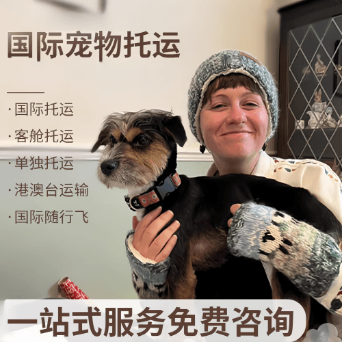 衡水市国际宠物托运到阿根廷宠物入境规定和要
