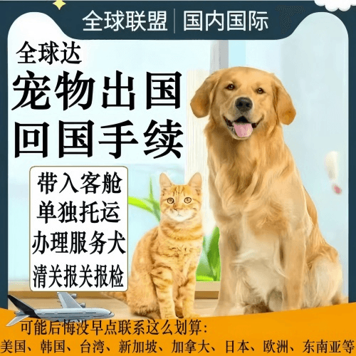 衡水市宠物托运到柬埔寨宠物入境规定和要求