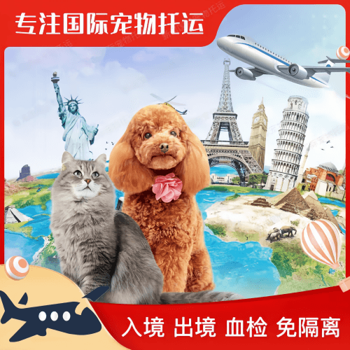 衡水市宠物托运到美国宠物入境最新规定和要求