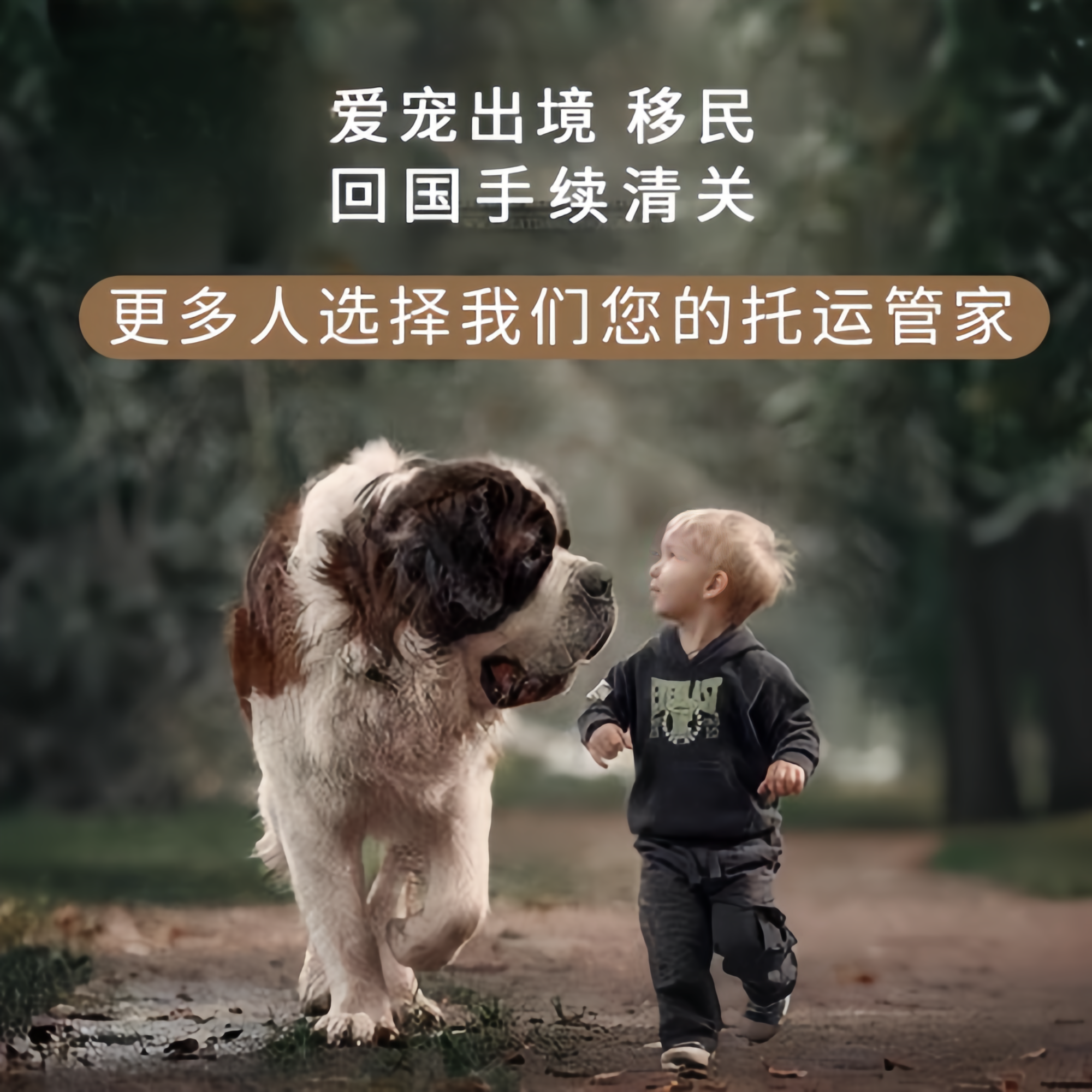 满财衡水市宠物全球达宠物托运在遵守入境目的地政策的条件