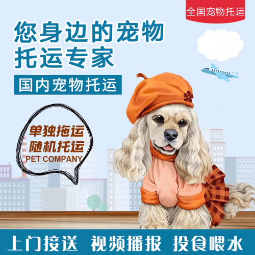 满财衡水市宠物全球达宠物托运作为专业的宠物运输代理机构